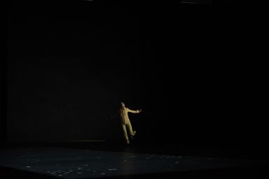 The Goldberg Variations, BWV 988