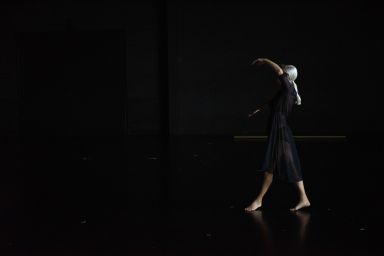 The Goldberg Variations, BWV 988