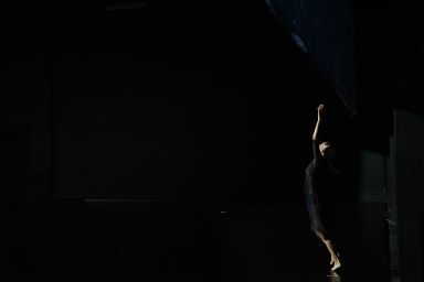 The Goldberg Variations, BWV 988