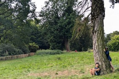 Among Trees on Sunday